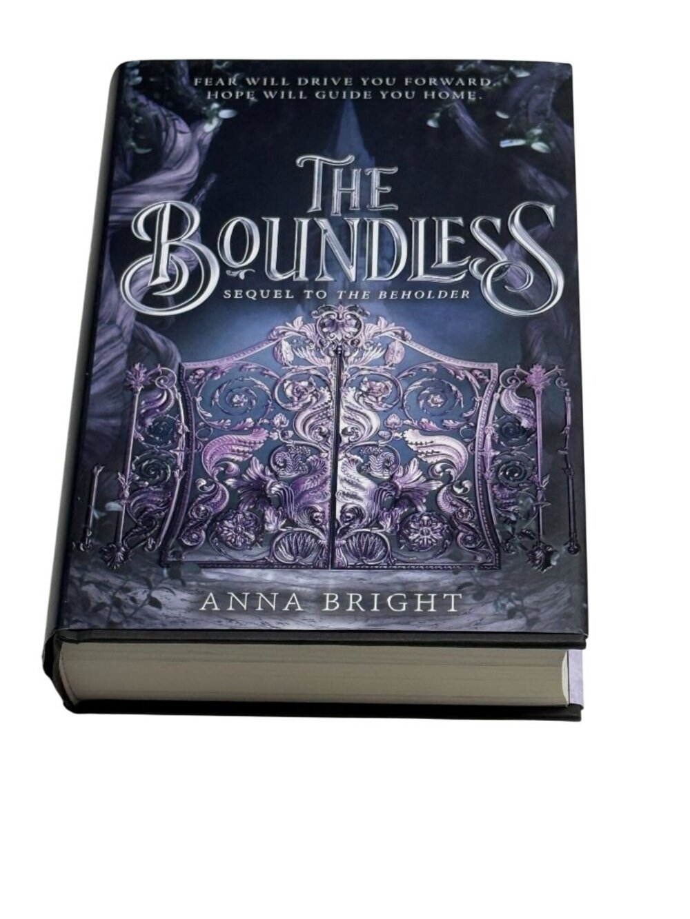 The Boundless Anna Bright Hardcover Fantasy Book